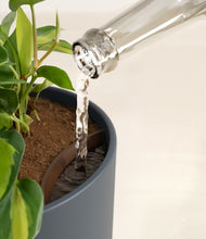 Load image into Gallery viewer, Iron Gray stand:all