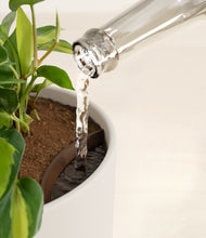 Load image into Gallery viewer, Natural Bamboo stand:all