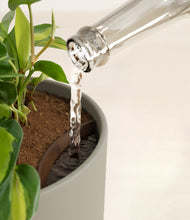 Load image into Gallery viewer, Sage Green stand:all