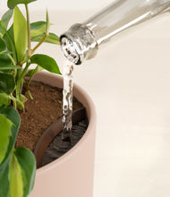 Load image into Gallery viewer, Sandy Pink stand:all