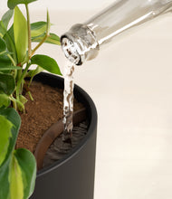 Load image into Gallery viewer, Stone Black stand:all