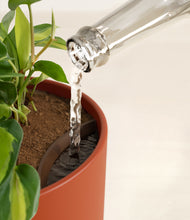 Load image into Gallery viewer, Earth Red stand:all