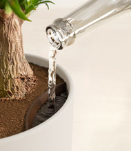 Load image into Gallery viewer, Natural Bamboo stand:all