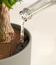 Load image into Gallery viewer, Sage Green stand:all