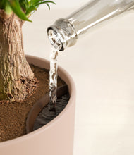 Load image into Gallery viewer, Sandy Pink stand:all