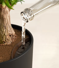 Load image into Gallery viewer, Stone Black stand:all