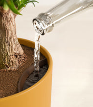 Load image into Gallery viewer, Sunset Orange stand:all