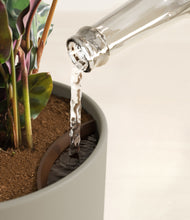 Load image into Gallery viewer, Sage Green stand:all