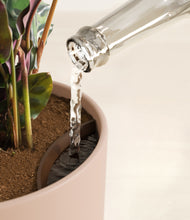 Load image into Gallery viewer, Sandy Pink stand:all