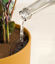 Load image into Gallery viewer, Sunset Orange stand:all