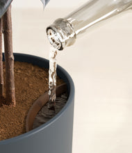 Load image into Gallery viewer, Iron Gray stand:all