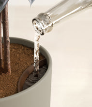 Load image into Gallery viewer, Sage Green stand:all