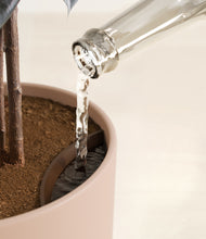 Load image into Gallery viewer, Sandy Pink stand:all