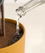 Load image into Gallery viewer, Sunset Orange stand:all