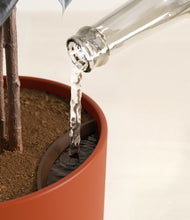 Load image into Gallery viewer, Earth Red stand:all