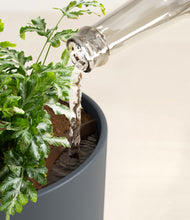 Load image into Gallery viewer, Iron Gray stand:all