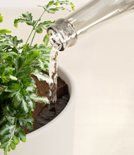 Load image into Gallery viewer, Natural Bamboo stand:all