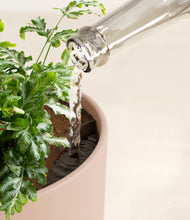 Load image into Gallery viewer, Sandy Pink stand:all