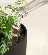 Load image into Gallery viewer, Stone Black stand:all