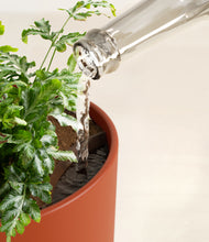 Load image into Gallery viewer, Earth Red stand:all