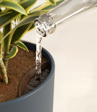 Load image into Gallery viewer, Iron Gray stand:all