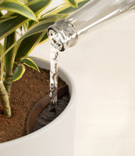 Load image into Gallery viewer, Natural Bamboo stand:all