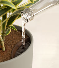 Load image into Gallery viewer, Sage Green stand:all