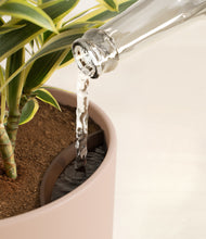 Load image into Gallery viewer, Sandy Pink stand:all