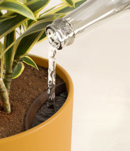 Load image into Gallery viewer, Sunset Orange stand:all