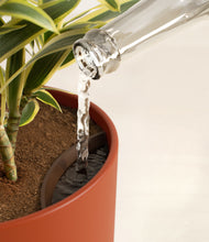 Load image into Gallery viewer, Earth Red stand:all