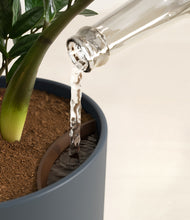 Load image into Gallery viewer, Iron Gray stand:all