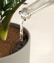 Load image into Gallery viewer, Sage Green stand:all