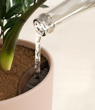 Load image into Gallery viewer, Sandy Pink stand:all