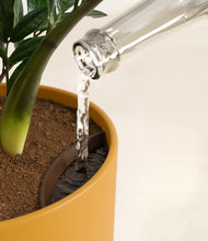 Load image into Gallery viewer, Sunset Orange stand:all