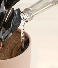 Load image into Gallery viewer, Sandy Pink stand:all