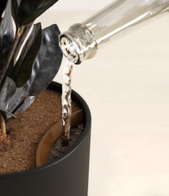 Load image into Gallery viewer, Stone Black stand:all