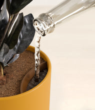 Load image into Gallery viewer, Sunset Orange stand:all