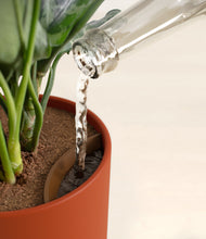 Load image into Gallery viewer, Earth Red stand:all