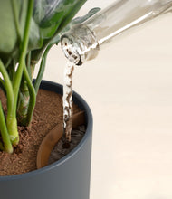 Load image into Gallery viewer, Iron Gray stand:all