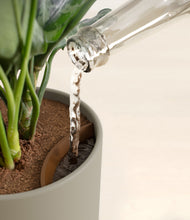 Load image into Gallery viewer, Sage Green stand:all