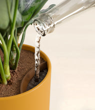 Load image into Gallery viewer, Sunset Orange stand:all