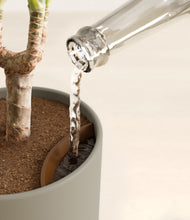 Load image into Gallery viewer, Sage Green stand:all