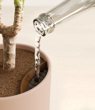 Load image into Gallery viewer, Sandy Pink stand:all