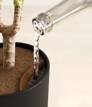 Load image into Gallery viewer, Stone Black stand:all