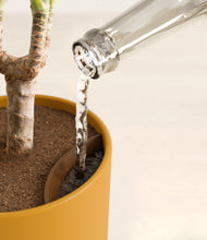 Load image into Gallery viewer, Sunset Orange stand:all