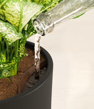 Load image into Gallery viewer, Black stand:all