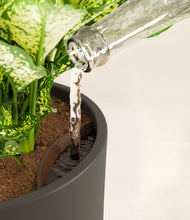 Load image into Gallery viewer, Dark Olive stand:all