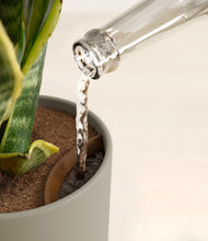 Load image into Gallery viewer, Sage Green stand:all