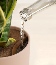 Load image into Gallery viewer, Sandy Pink stand:all