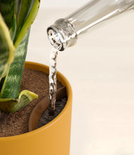 Load image into Gallery viewer, Sunset Orange stand:all